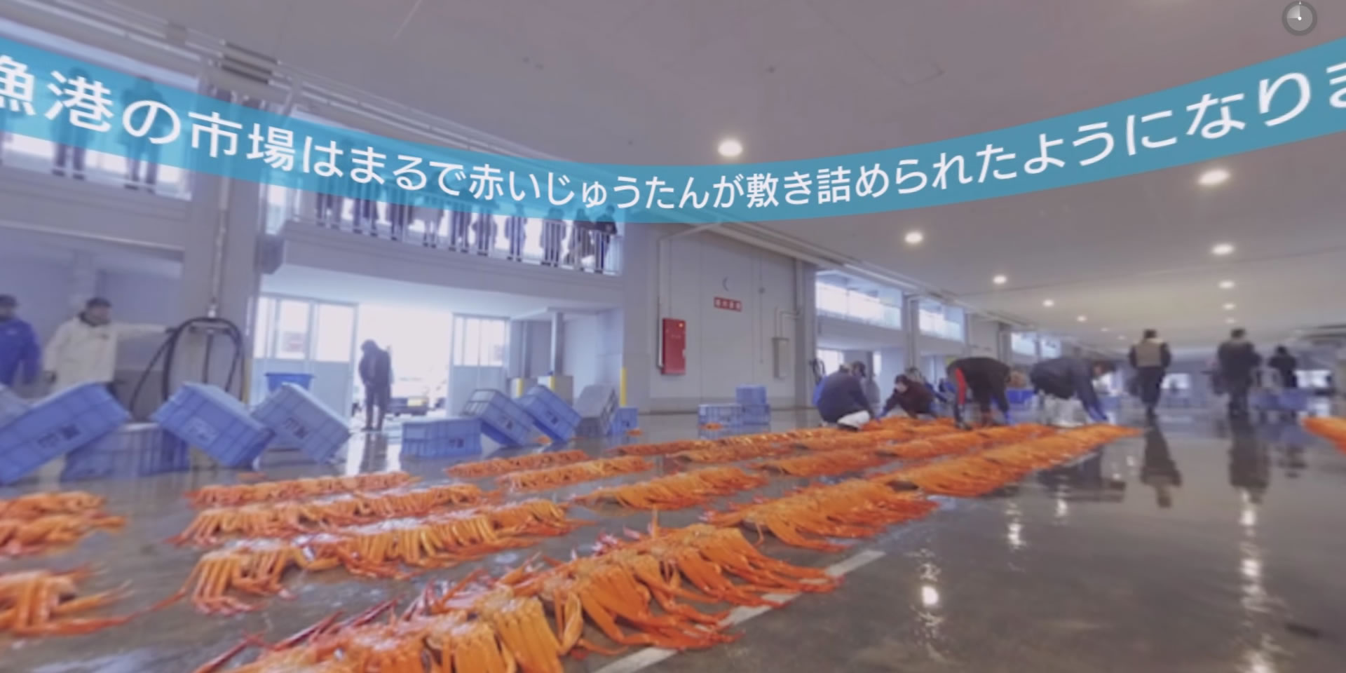 射水市様全天球観光PR用VRコンテンツ
