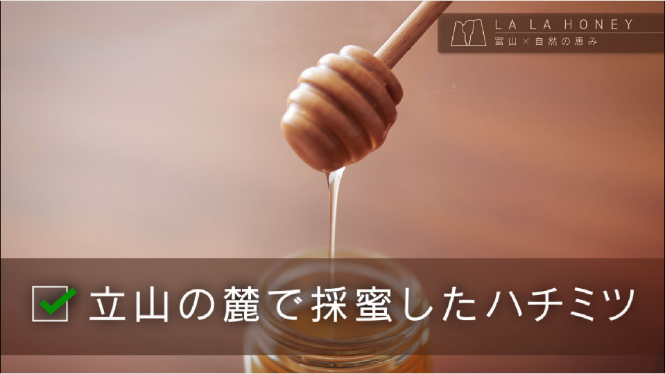 株式会社やぶうち商会様 LALAHONY商品紹介PV制作