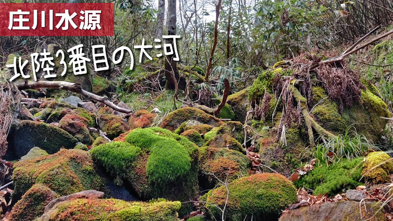 北陸コカ・コーラボトリング(株)様見学者向け動画制作